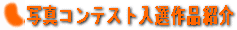 �͍쑵��